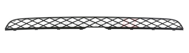 Front bumper grille