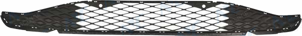 Front bumper grille